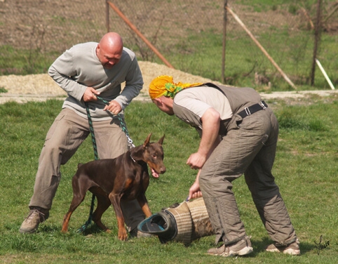 Chocolade Lehmannsfelsen - training 4. 4. 2007